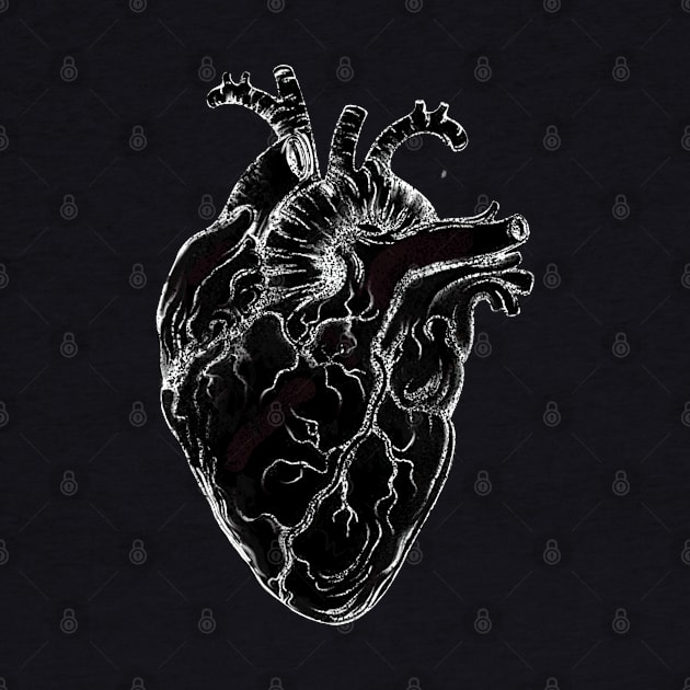 Heart Human Anatomy Black and white by Collagedream